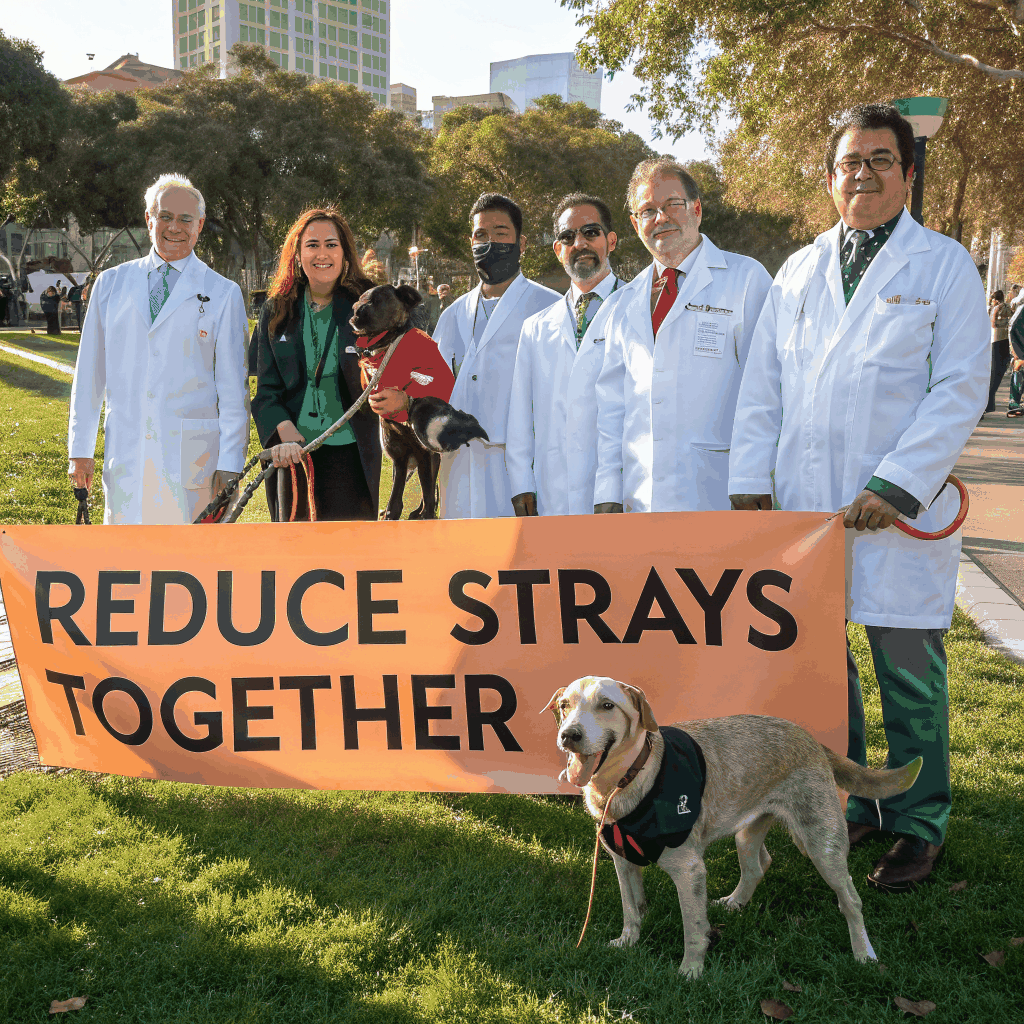 Community outreach lead