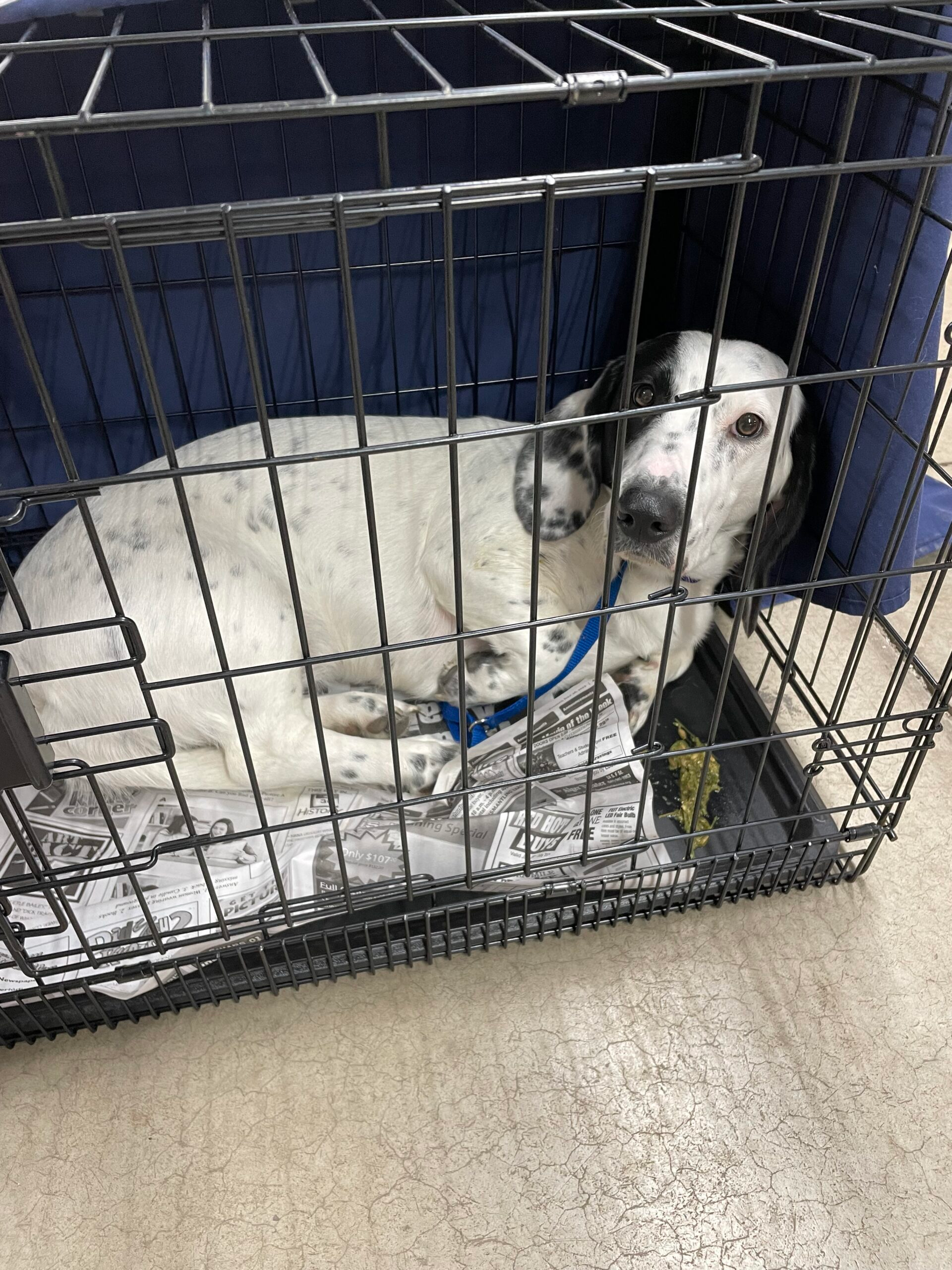 Patient resting safely during post-surgery recovery in clean clinic setting